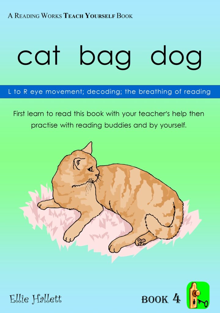 cat bag dog